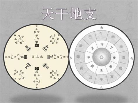 天干地支關係